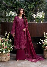 Naqsh Chikankari Festive Edit'26 NS-00203 Twilight Orchid