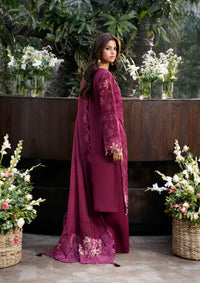 Naqsh Chikankari Festive Edit'26 NS-00203 Twilight Orchid