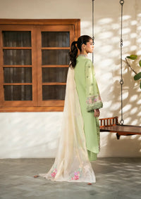 Naqsh Chikankari Festive Edit'26 NS-00204 Green Peace