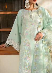 Naqsh Chikankari Festive Edit'26 NS-00196 Aqua Bloom