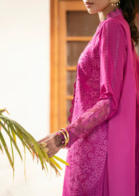 Naqsh Chikankari Festive Edit'26 NS-00201 Fuchsia Pink