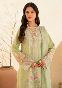 mohsin-saeed-fabrics-designer-daily-wear-formal-and-wedding-suits-within-budget-This-product-is-from-rajbari-jahaan-premium-festive-lawn25-d-01b-raya-is-available-on-Mohsin-saeed-fabrics-website.