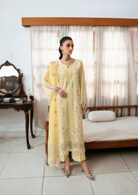 Naqsh Chikankari Festive Edit'26 NS-00199 Sun Glow