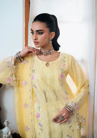 Naqsh Chikankari Festive Edit'26 NS-00199 Sun Glow
