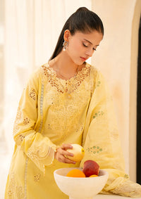 mohsin-saeed-fabrics-designer-daily-wear-formal-and-wedding-suits-within-budget-This-product-is-from-rajbari-jahaan-premium-festive-lawn25-d-06a-oriya-is-available-on-Mohsin-saeed-fabrics-website.