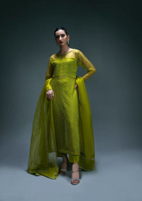 mohsin-saeed-fabrics-is-selling-online-and-in stores-Luxury-daily-wear-wedding-wear-formal-wear-in-budgeted-price-This-product-is-from-sidra-fahad-elianna25-sf-187-is-available-on-Mohsin-saeed-fabrics-website.