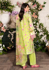 Rang Rasiya Lifestyle Emb Edit'24 D-11 FLORA