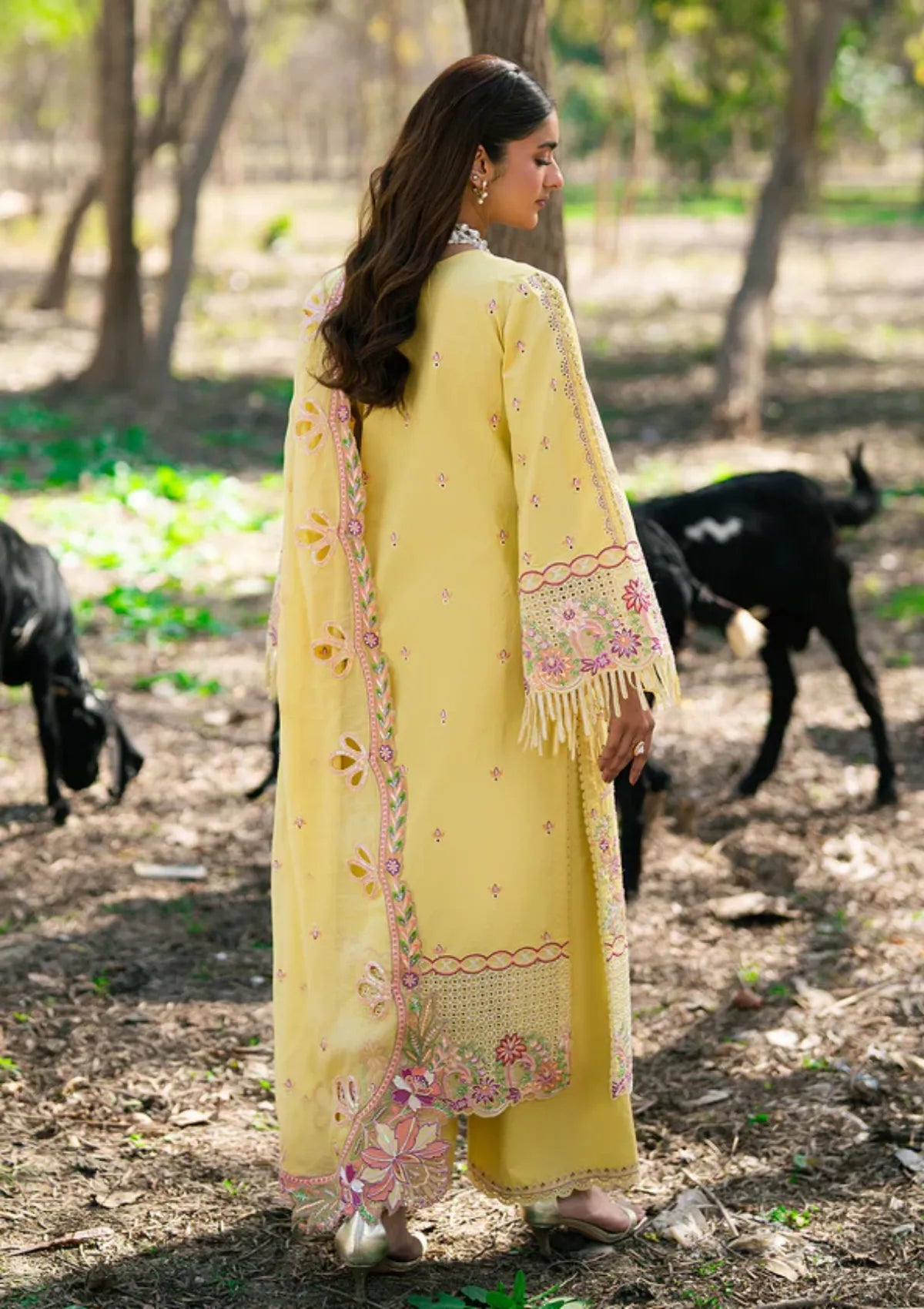 Zarizaa Aura of Flora Emb Lawn'26 D-05 HONEY