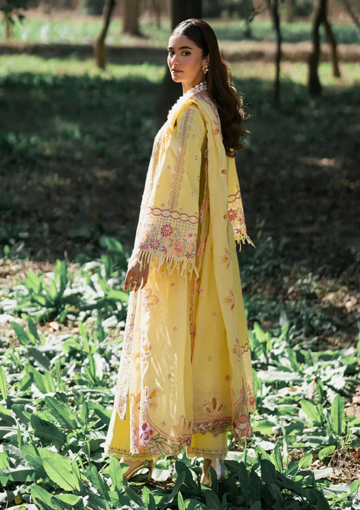 Zarizaa Aura of Flora Emb Lawn'26 D-05 HONEY