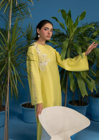 mohsin-saeed-fabrics-designer-daily-wear-formal-and-wedding-suits-within-budget-This-product-is-from-khakaa-luna-pret25-d-01-amarillo-is-available-on-Mohsin-saeed-fabrics-website.