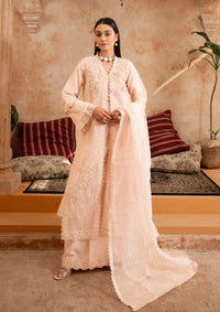 Manahils Shehr-e-Husn'26 181-PEACH