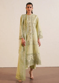 Afrozeh Festive Chikankari Lawn'24 AL-02 Kelly - Mohsin Saeed Fabrics