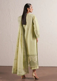 Afrozeh Festive Chikankari Lawn'24 AL-02 Kelly - Mohsin Saeed Fabrics