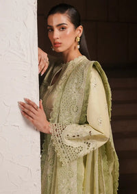 Afrozeh Festive Chikankari Lawn'24 AL-02 Kelly - Mohsin Saeed Fabrics