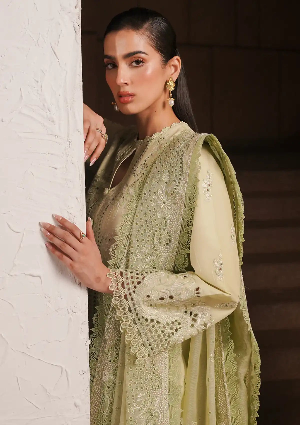 Afrozeh Festive Chikankari Lawn'24 AL-02 Kelly - Mohsin Saeed Fabrics