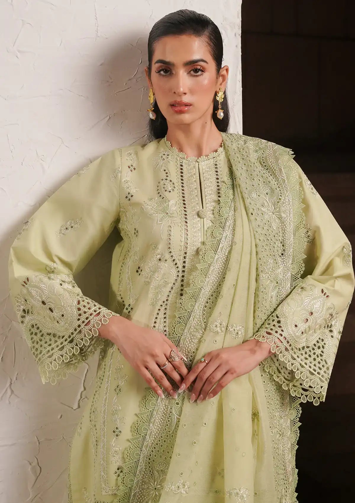 Afrozeh Festive Chikankari Lawn'24 AL-02 Kelly - Mohsin Saeed Fabrics