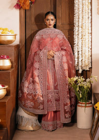 Zarizaa Push Pawan'26 D-2P TITLI