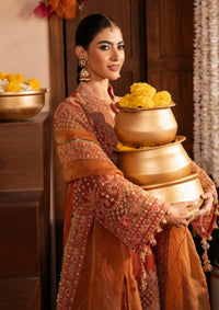 Zarizaa Push Pawan'26 D-30 TARANNUM