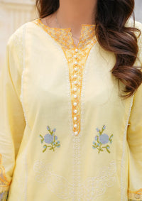 mohsin-saeed-fabrics-is-selling-online-and-in stores-Luxury-daily-wear-wedding-wear-formal-wear-in-budgeted-price-This-product-is-from-clothere-by-anam-lawnkari25-d-002-is-available-on-Mohsin-saeed-fabrics-website.