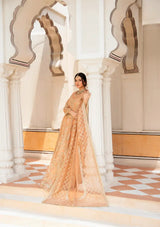 Rajwani Aghaz Luxury Formal'25 AG-08 MAHPARA