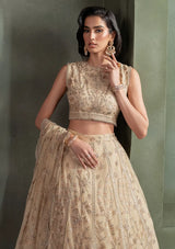 Zarif Heritage Luxury Formals'24 ZHF-01-AVELINA - Mohsin Saeed Fabrics