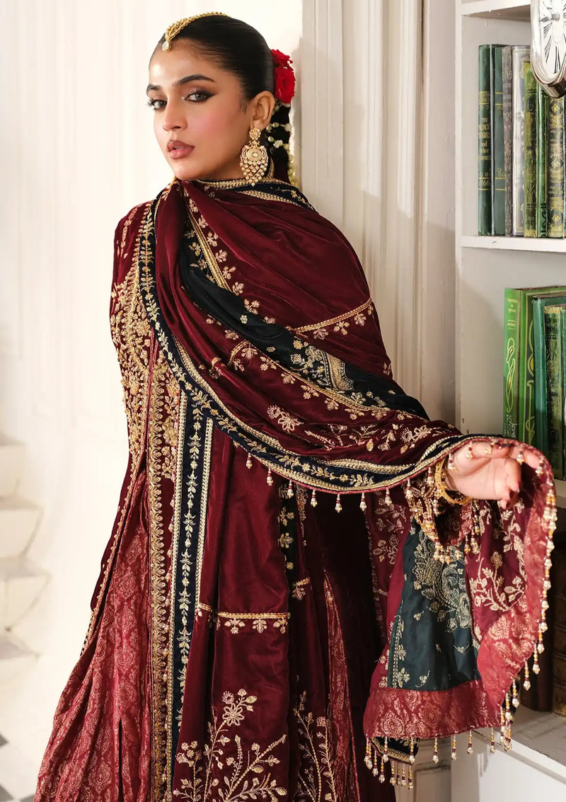 Raeesa Sheen Luxury Velvet'24 HV-03 Sitara