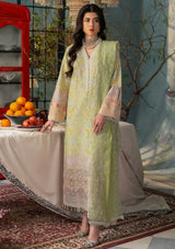 RajBari Chikankari Edition'24 D-07 - Mohsin Saeed Fabrics