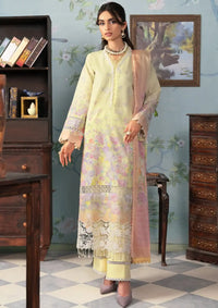 RajBari Chikankari Edition'24 D-01 - Mohsin Saeed Fabrics