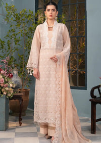 RajBari Chikankari Edition'24 D-03 - Mohsin Saeed Fabrics