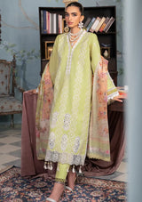 RajBari Chikankari Edition'24 D-11 - Mohsin Saeed Fabrics