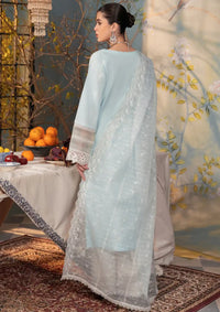 RajBari Chikankari Edition'24 D-05 - Mohsin Saeed Fabrics