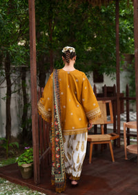 Saira Rizwan Laanem'26 D-04 ZOYA-B