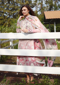 Mushq Solace Ombre Chikankari'26 D-09 Dew Drift