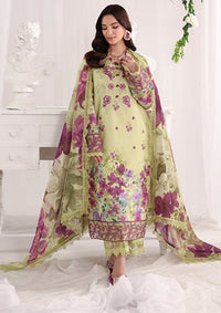 Rang Rasiya Nova Summer Edit'26 D-05 Elena