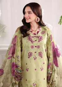 Rang Rasiya Nova Summer Edit'26 D-05 Elena