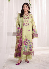 Rang Rasiya Nova Summer Edit'26 D-05 Elena