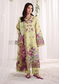 Rang Rasiya Nova Summer Edit'26 D-05 Elena
