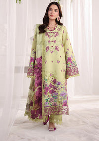 Rang Rasiya Nova Summer Edit'26 D-05 Elena