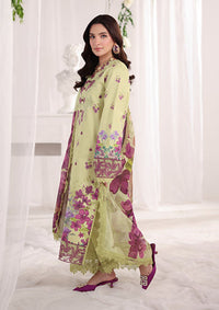 Rang Rasiya Nova Summer Edit'26 D-05 Elena