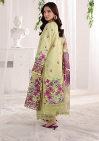 Rang Rasiya Nova Summer Edit'26 D-05 Elena