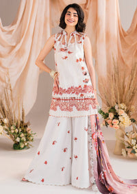 Asifa & Nabeel Winter Meraki’24 MW-15 Embroider