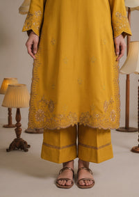 Sanam Saeed Viana Emb Karandi'26 -FAWN