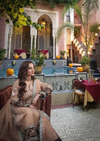 Sable Festive Collection'25 FC-01