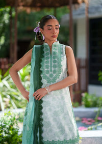 Saira Rizwan Laanem'26 D-06 ZAREEN-B