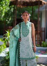Saira Rizwan Laanem'26 D-06 ZAREEN-B