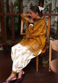 Saira Rizwan Laanem'26 D-04 ZOYA-B