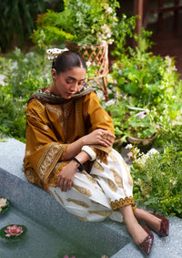 Saira Rizwan Laanem'26 D-04 ZOYA-B