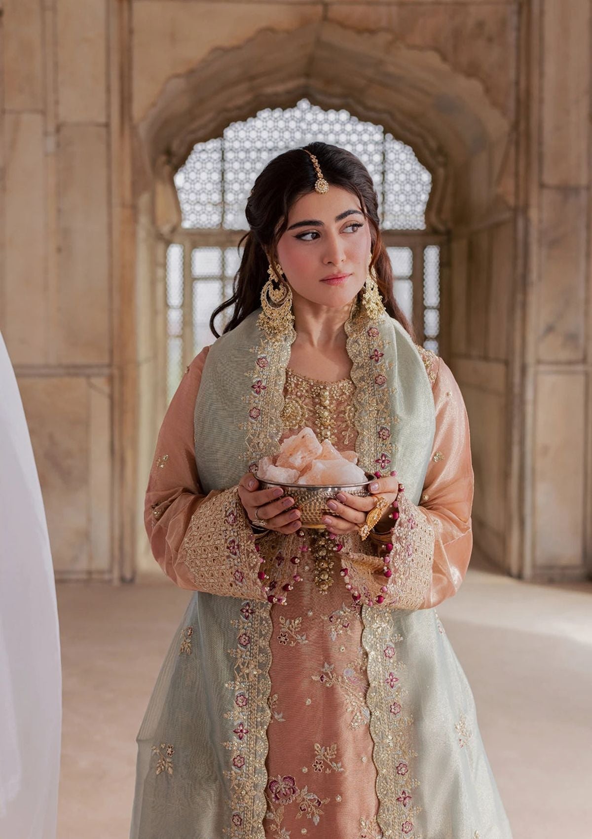 Rang Rasiya Chatoyer Wedding Formals'26 D-04 Fleur