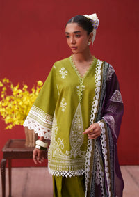 Saira Rizwan Laanem'26 D-07 NERAYA-A