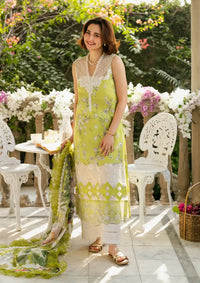 mohsin-saeed-fabrics-is-selling-online-and-in stores-Luxury-daily-wear-wedding-wear-formal-wear-in-budgeted-price-This-product-is-from-asifa-nabeel-gulkari-summer25-gkl-03-lemonade-dream-is-available-on-Mohsin-saeed-fabrics-website.